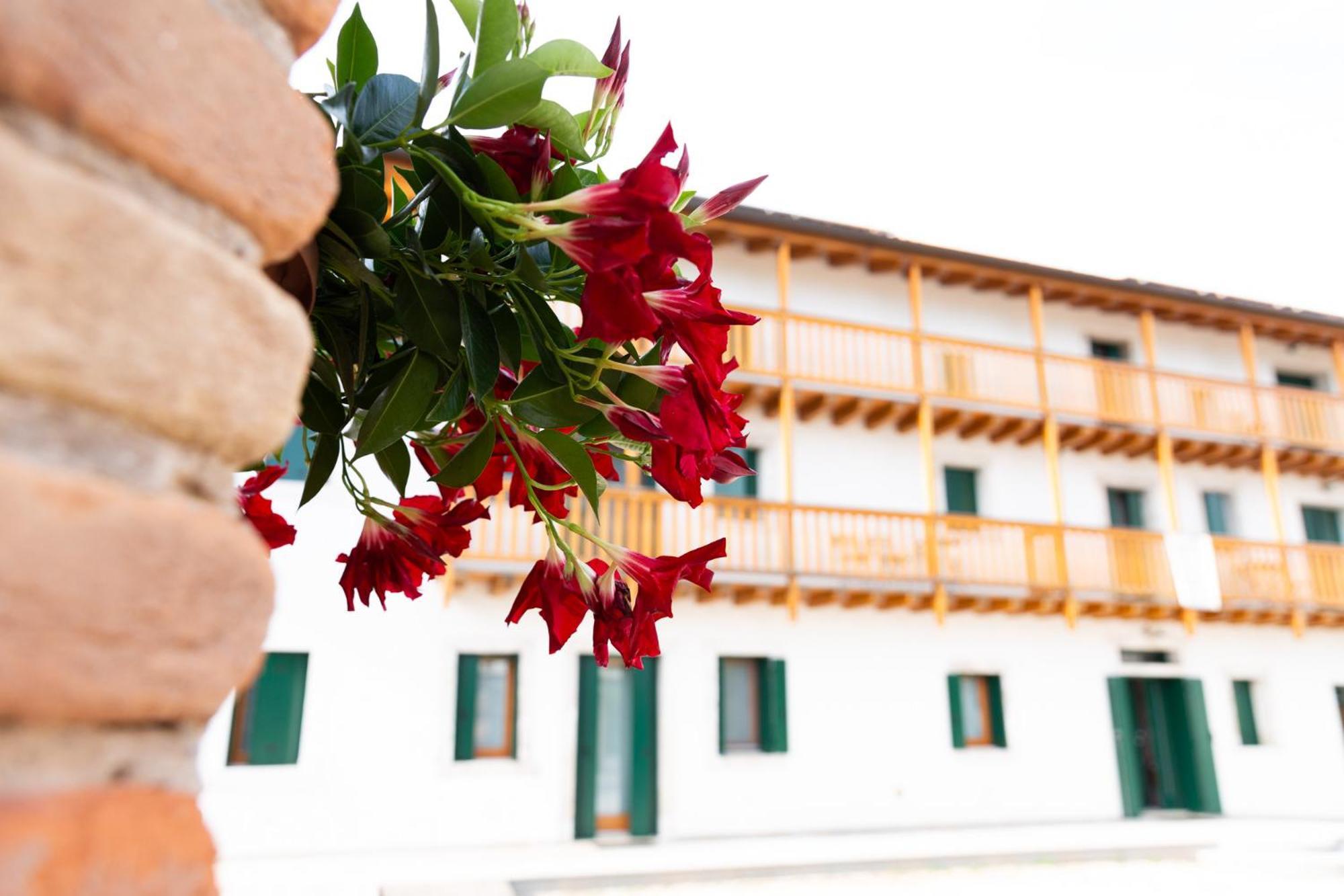 Albergo Diffuso Polcenigo C. Zoldan Exteriör bild